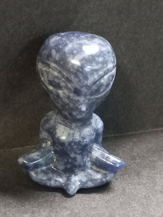 Sodalite Yoga Alien