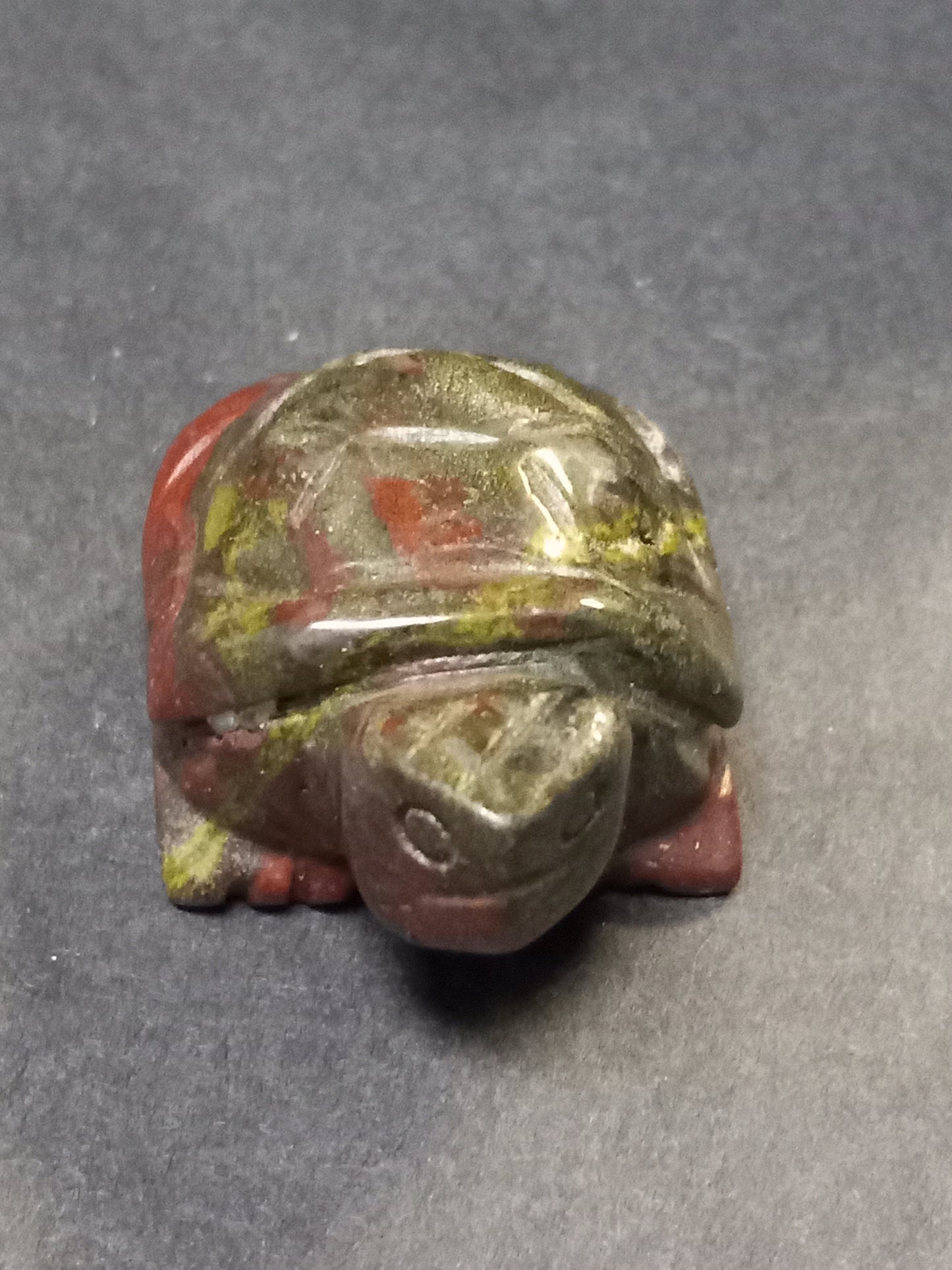 Dragonsblood Turtle