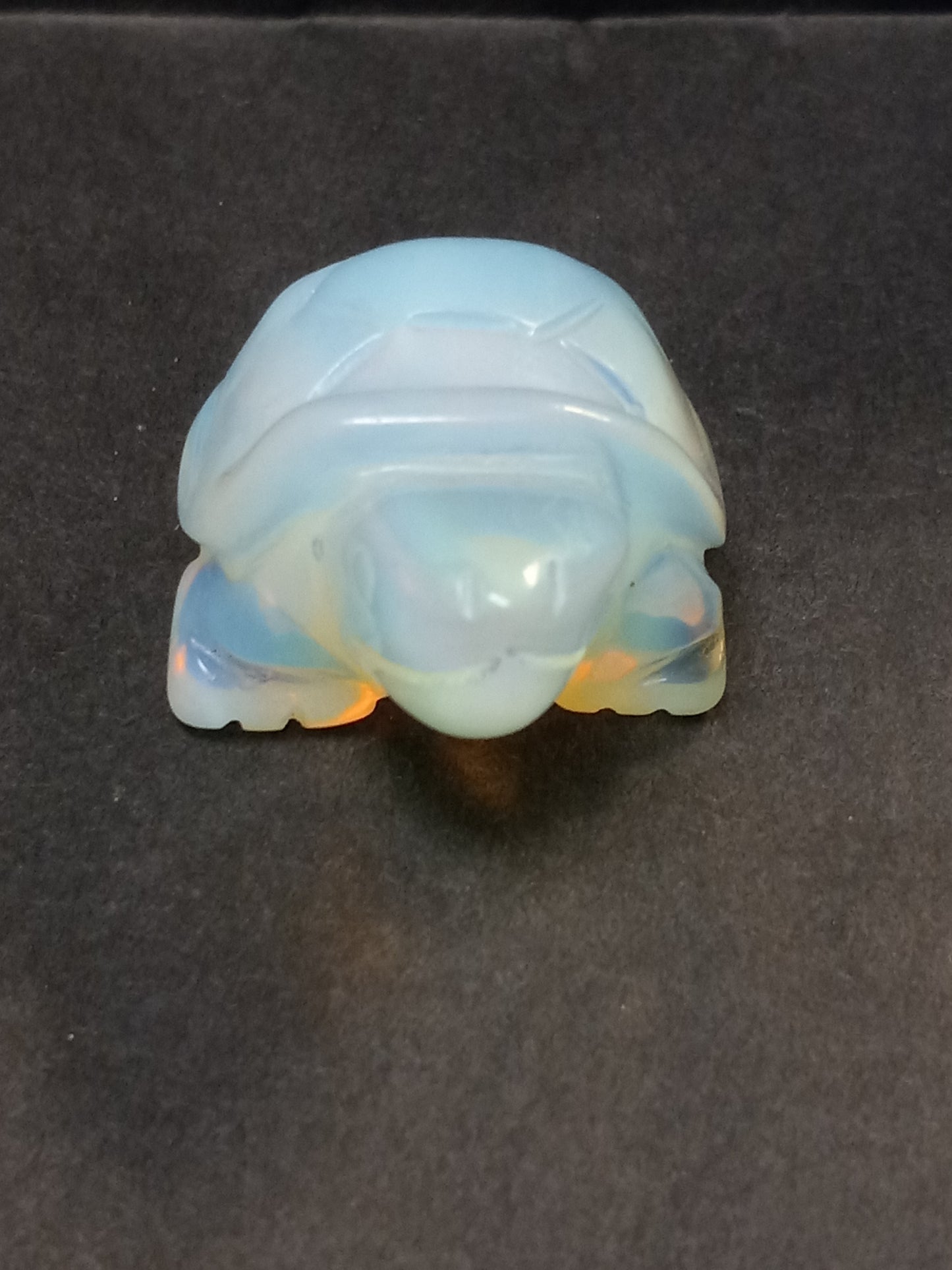 Opalite Turtle