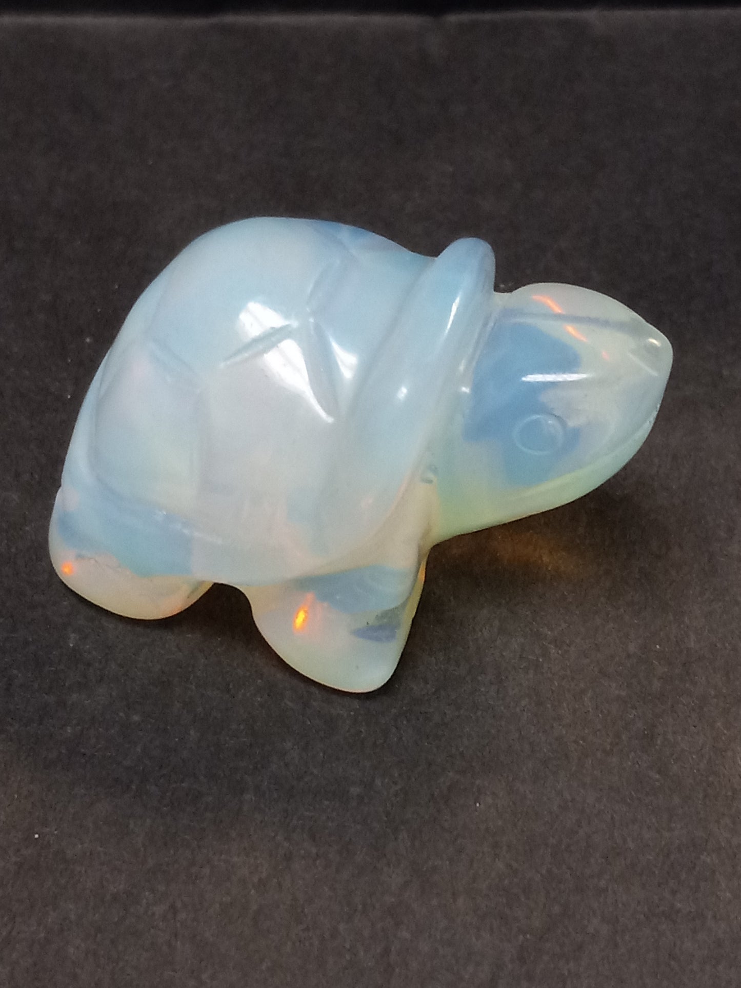 Opalite Turtle