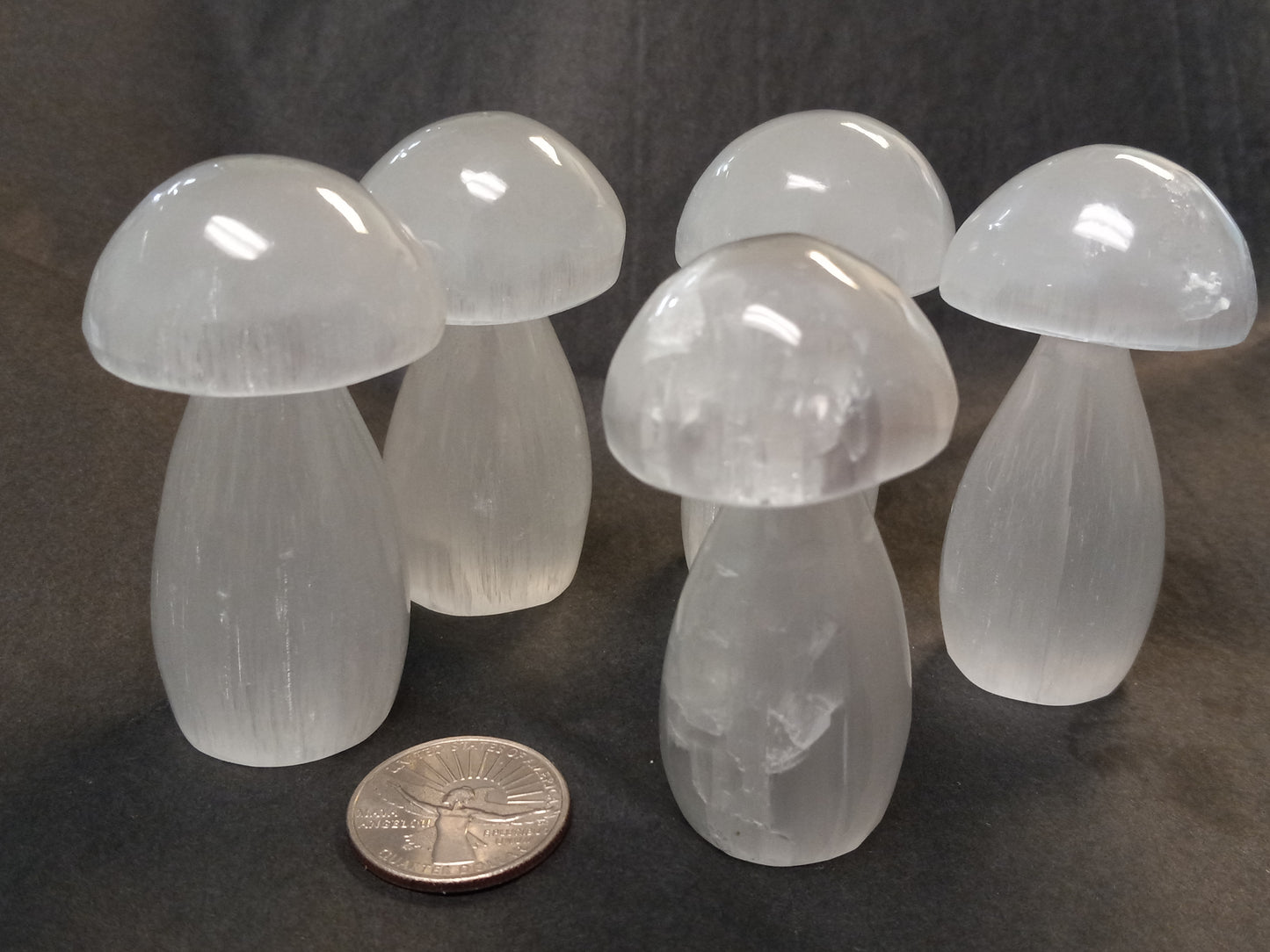 Selenite Mushrooms